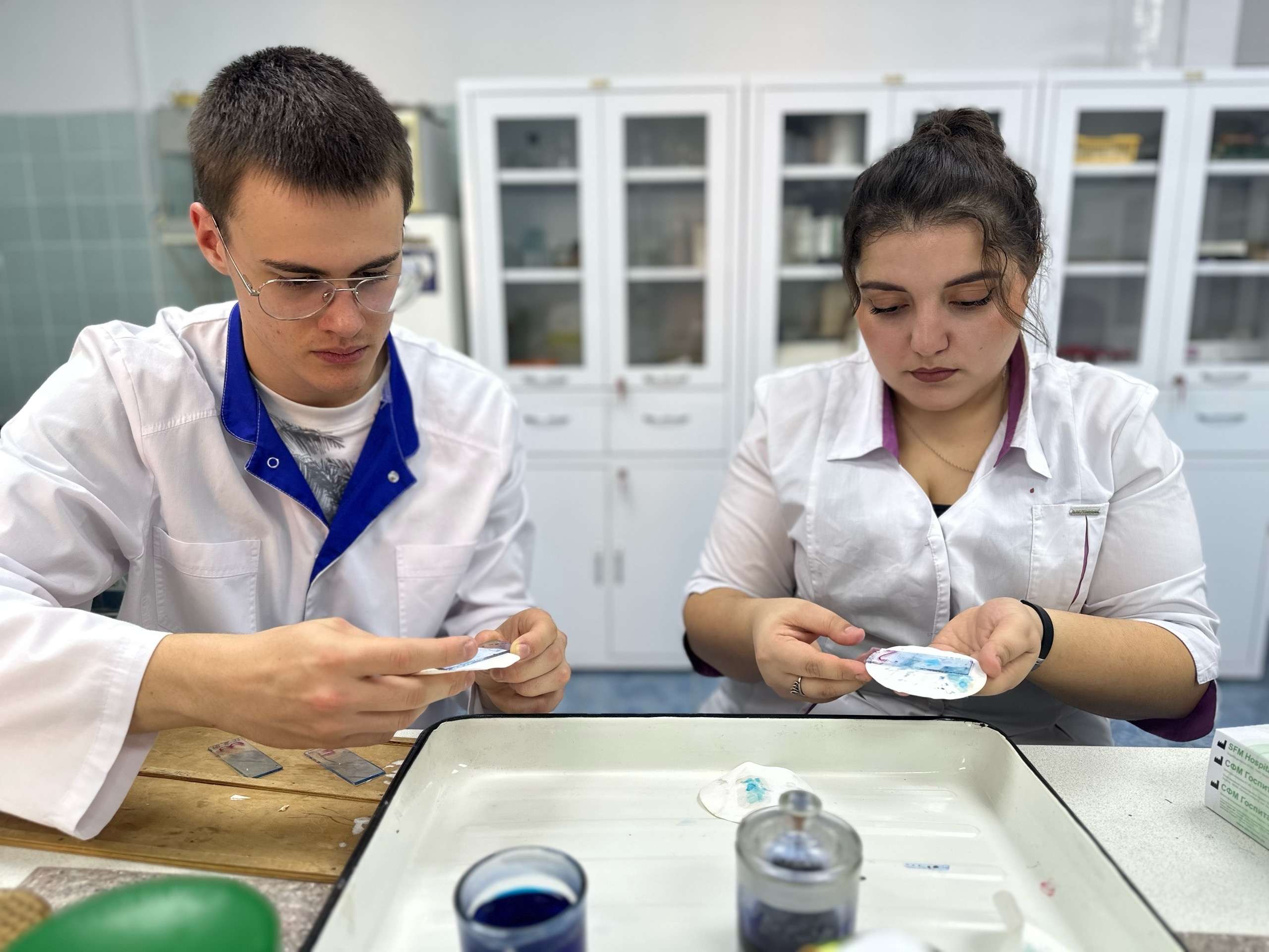 Школа мастерства «Экспериментальная морфология»